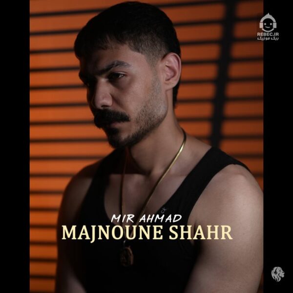 دانلود آهنگ مجنون شهر – میر احمد