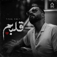 دانلود آهنگ قلبم – رضا شیری