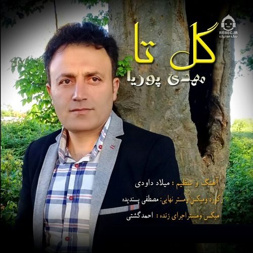 دانلود آهنگ گل تا – مهدی پوریا دانلود آهنگ گل تا – مهدی پوریا
