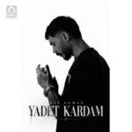 دانلود آهنگ یادت کردم – میر احمد