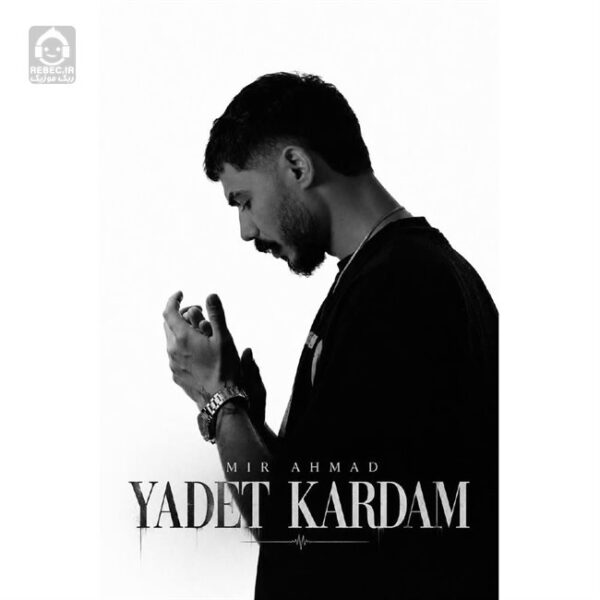 دانلود آهنگ یادت کردم – میر احمد